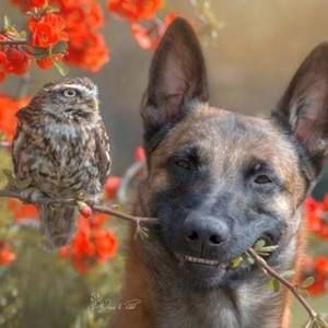 Meet your Posher, Elisa